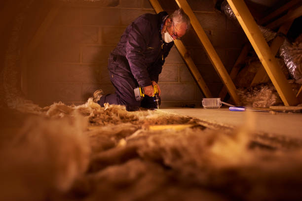 Best Specialized Insulation Services in Quinebaug, CT